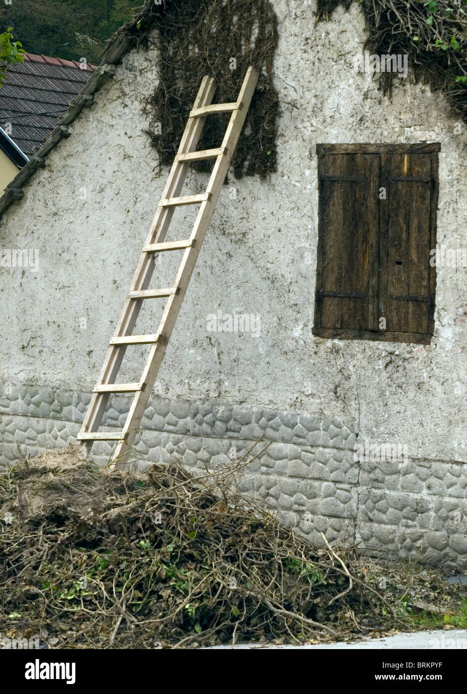 Sur le mur de l'échelle Banque D'Images