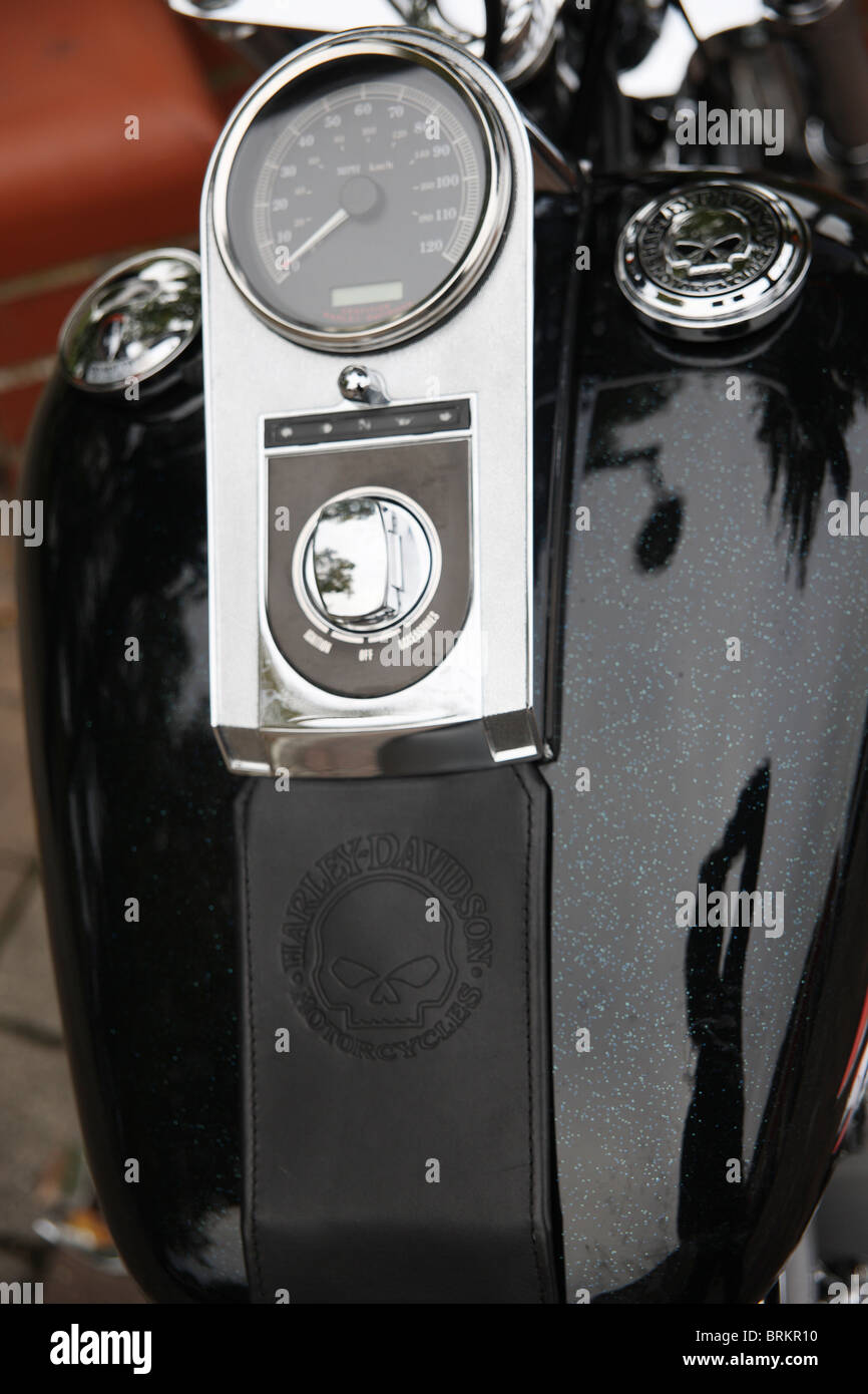 Réservoir essence Harley Davidson avec peinture paillettes métalliques et du crâne detailling. Banque D'Images