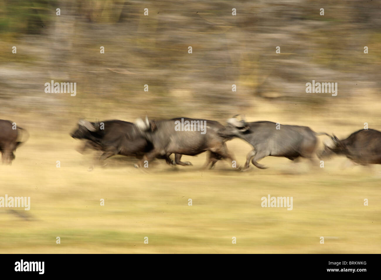 Abstract shot of & roger Banque D'Images