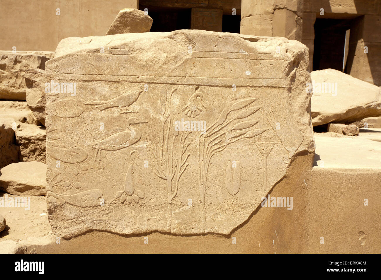 Bas-reliefs de l'Égypte ancienne sur le mur du temple de Karnak, Louxor, Egypte Banque D'Images
