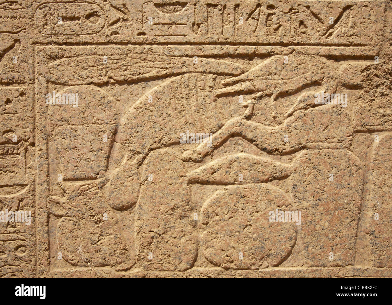 Bas-reliefs de l'Égypte ancienne sur le mur du temple de Karnak, Louxor, Egypte Banque D'Images