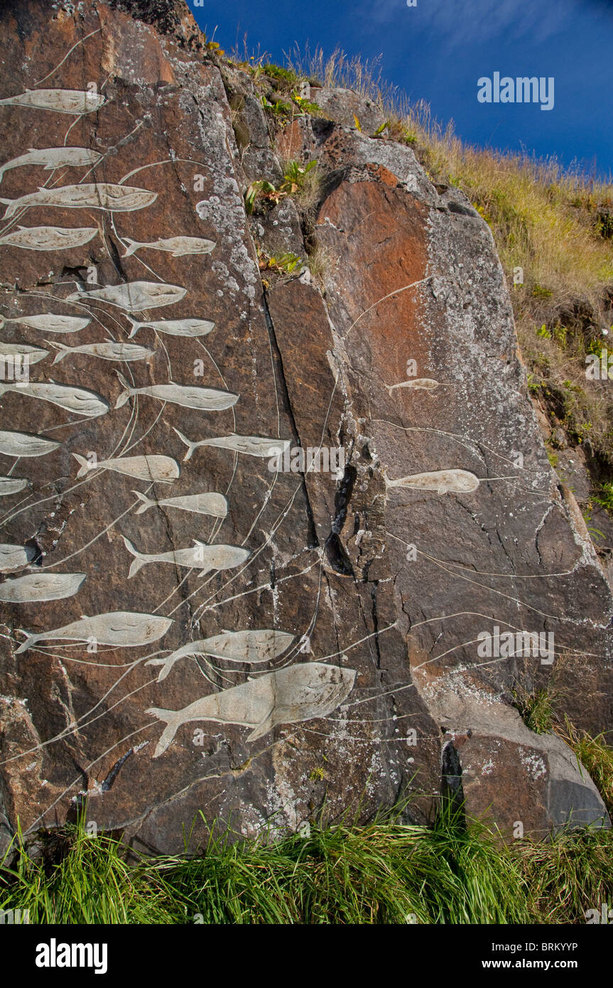 Le Groenland, Qaqortoq. La plus grande ville du Groenland du sud. Rock Art Banque D'Images