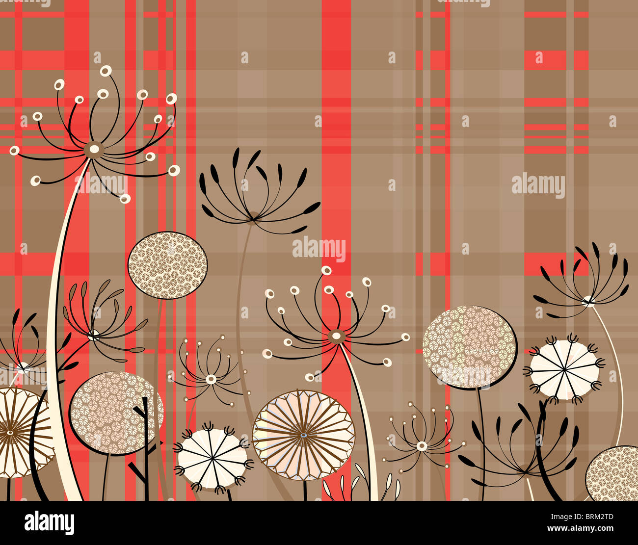 Illustration de fleurs et d'umbellifer générique motif tartan Banque D'Images