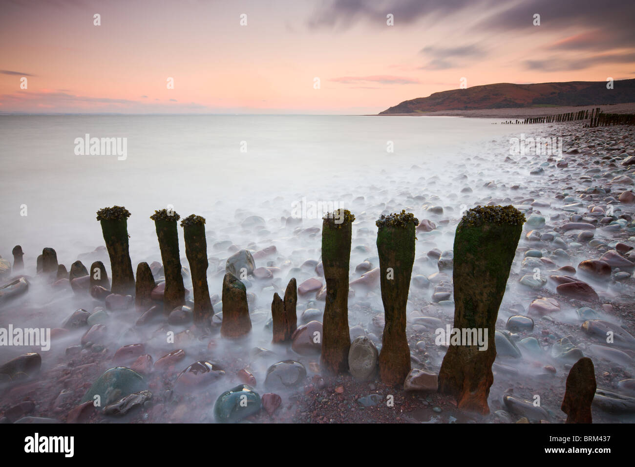 Épi en bois de défenses côtières à Porlock Beach, parc national d'Exmoor, Somerset, Angleterre. L'hiver (février) 2010. Banque D'Images