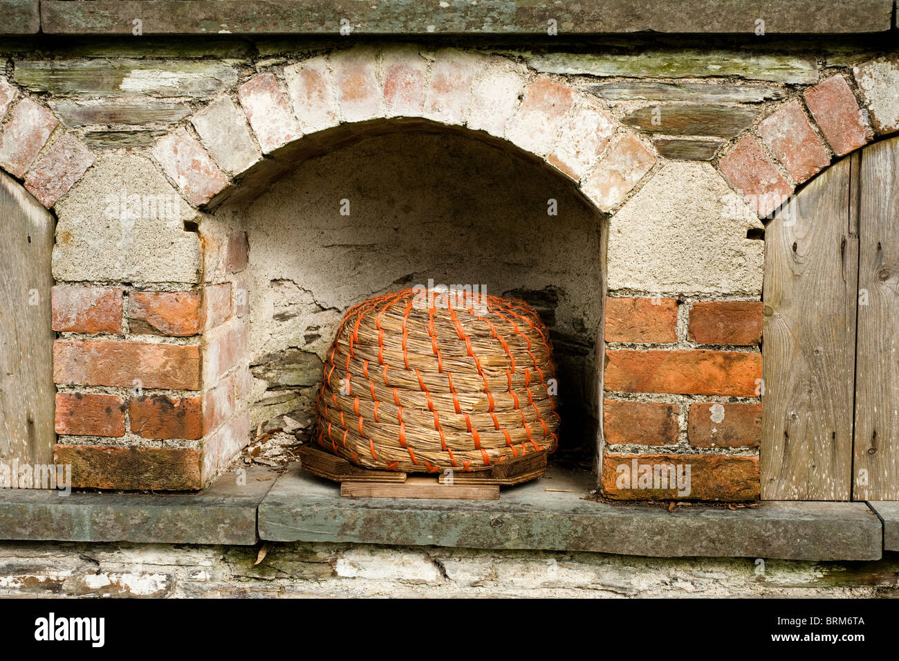 Bee boles dans les jardins perdus de Heligan à Cornwall, Royaume-Uni Banque D'Images