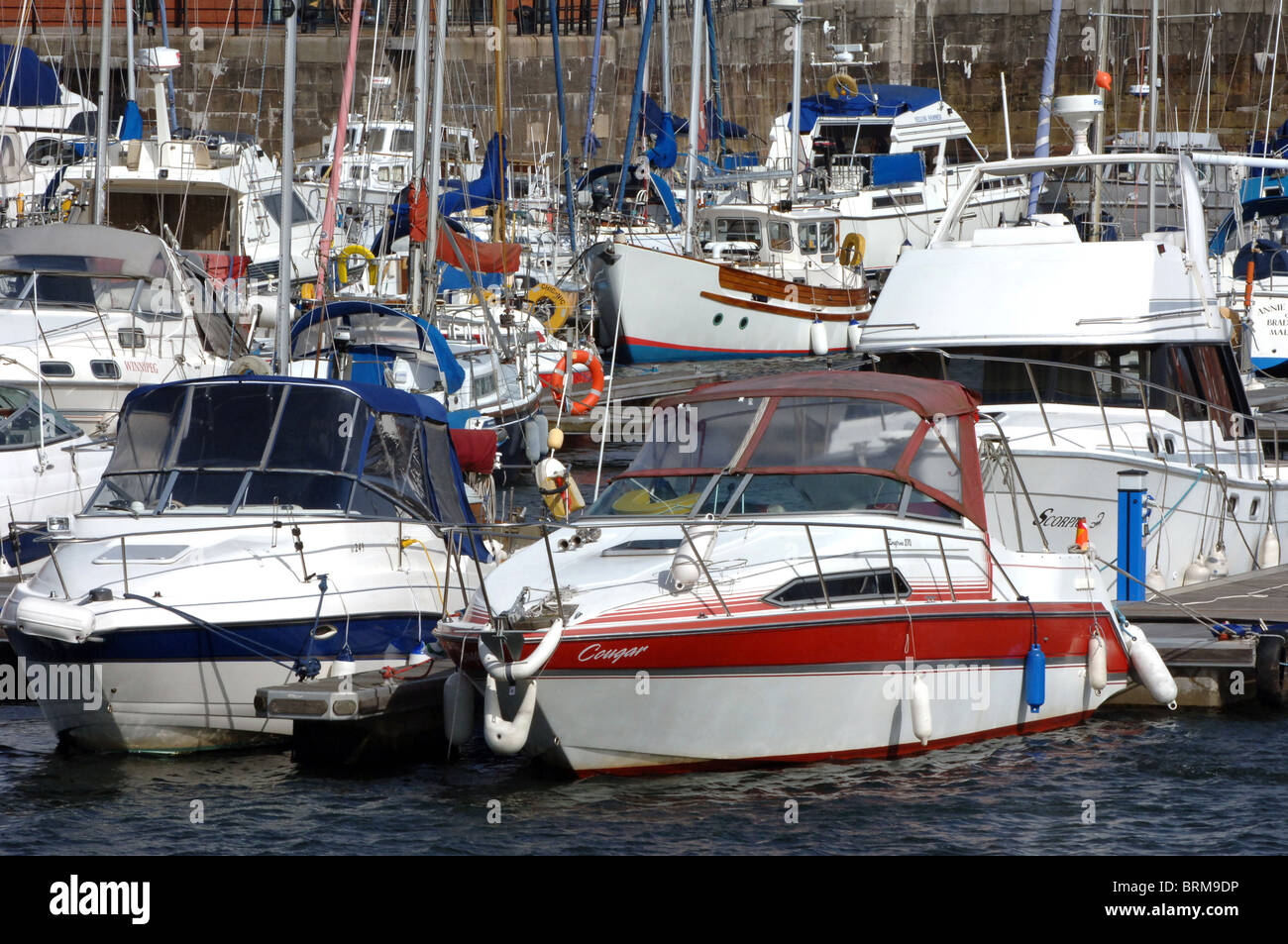 Bateaux dans un port de plaisance. Banque D'Images