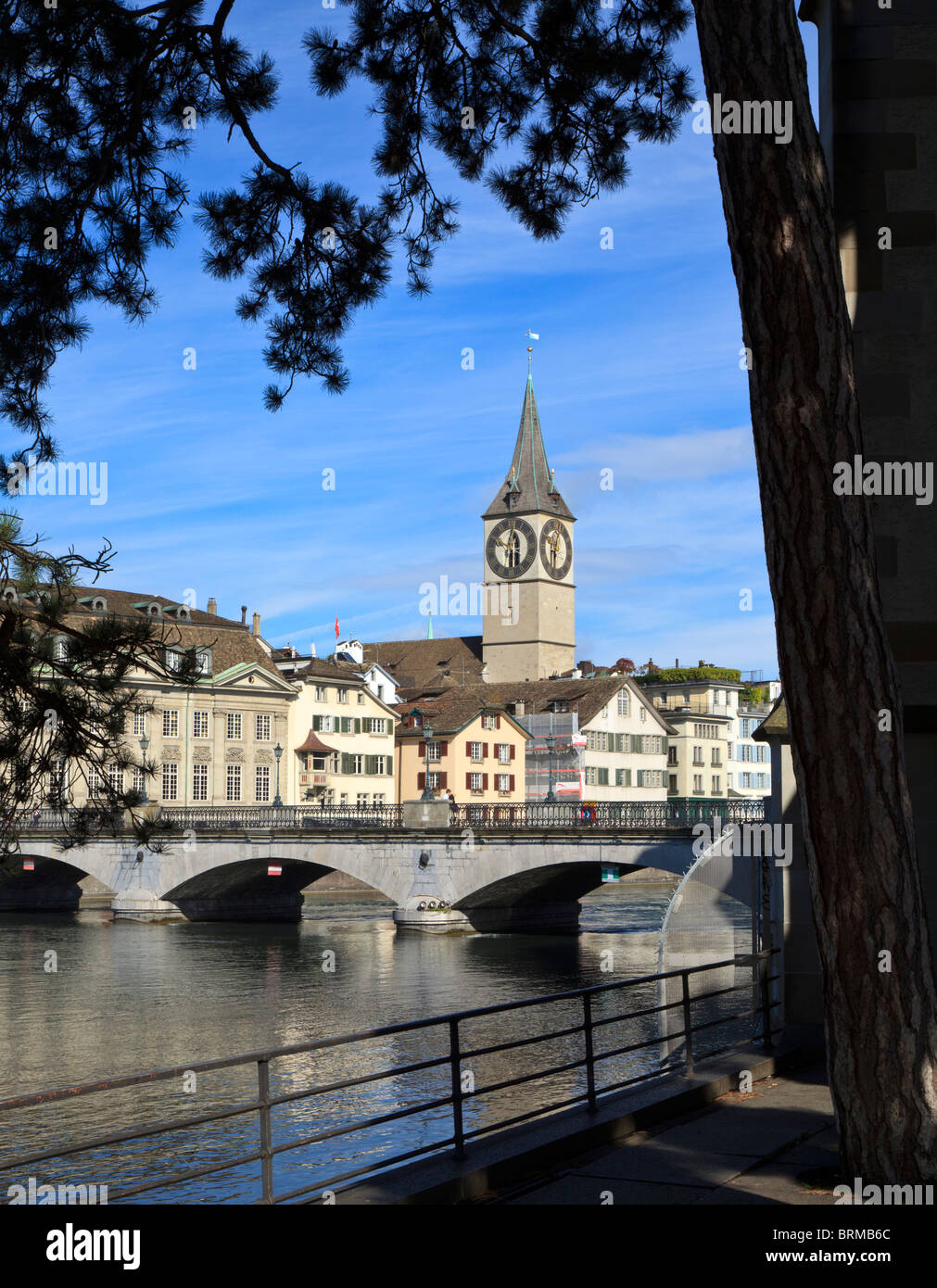 Saint Peters Church et de Munster Brucke, Zurch encadreur, par un arbre. Banque D'Images