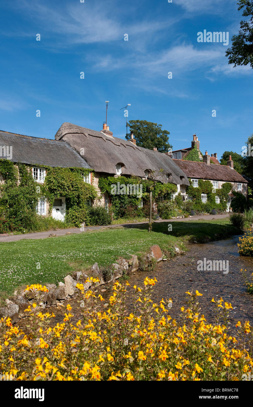 Très jolies chaumières sur Winkle Street sur l'île de Wight, Angleterre. Banque D'Images