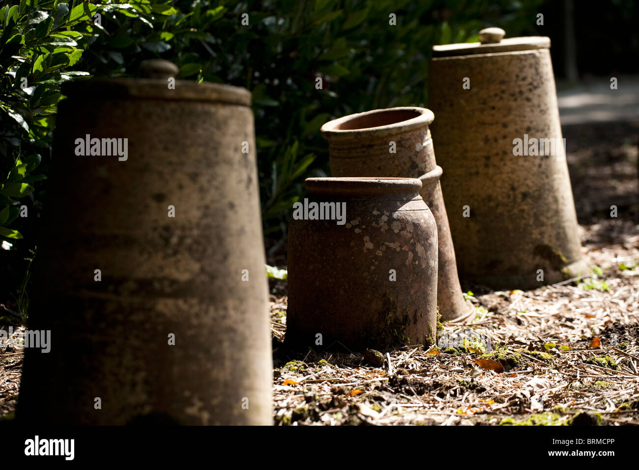 Pots à forcer la rhubarbe Les Jardins perdus de Heligan à Cornwall, Royaume-Uni Banque D'Images