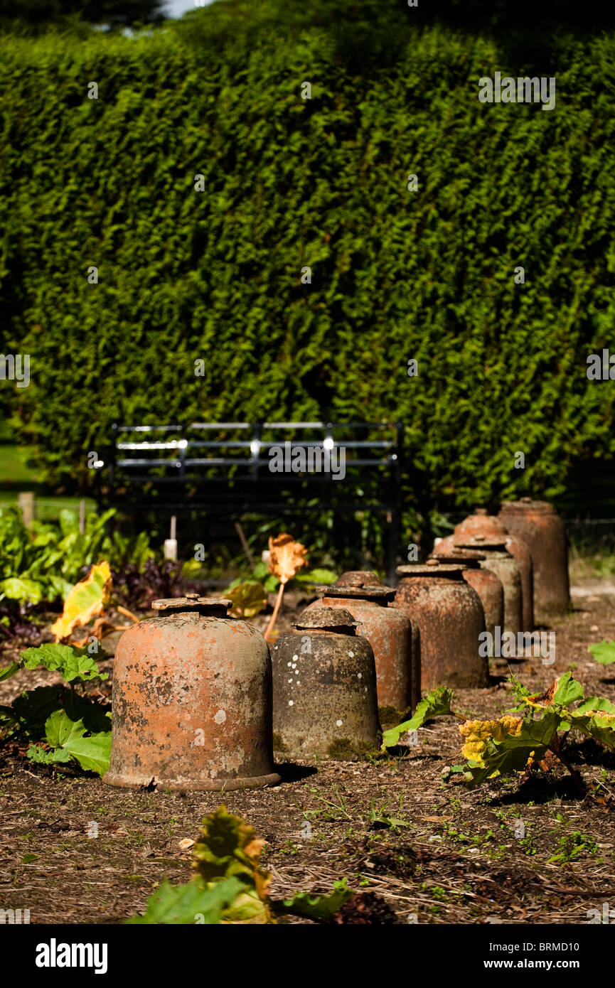 Pots à forcer la rhubarbe Les Jardins perdus de Heligan à Cornwall, Royaume-Uni Banque D'Images