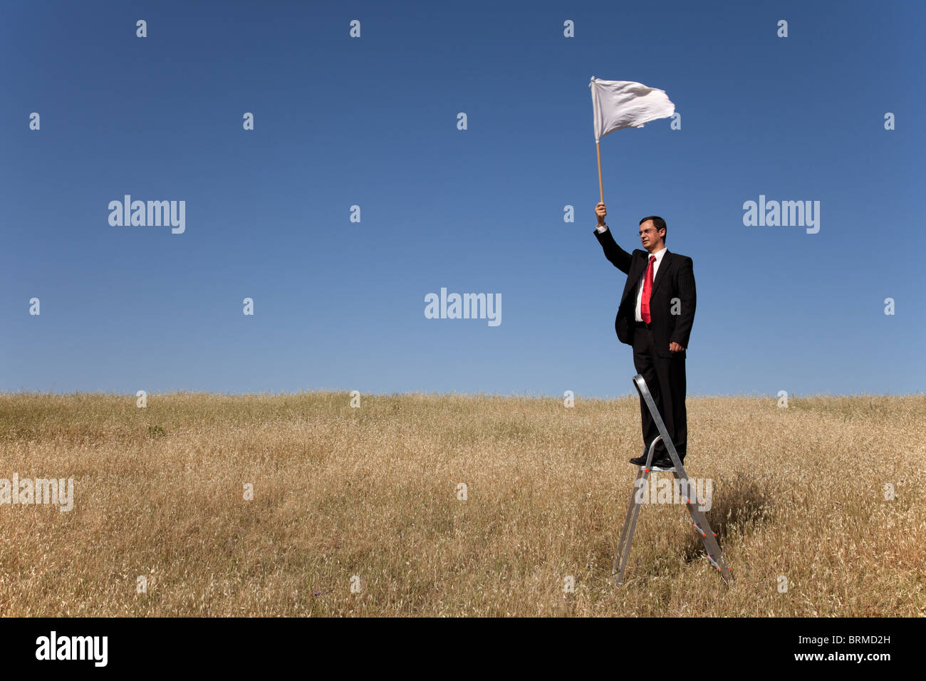 Demande de remise d'affaires avec un drapeau blanc Banque D'Images
