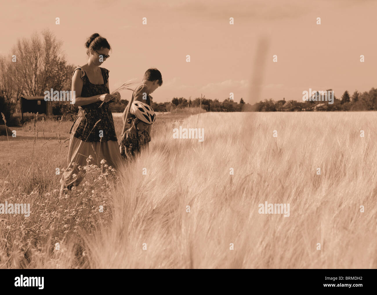 La MÈRE ET DEUX ENFANTS PAR UN CHAMP D'ORGE Banque D'Images