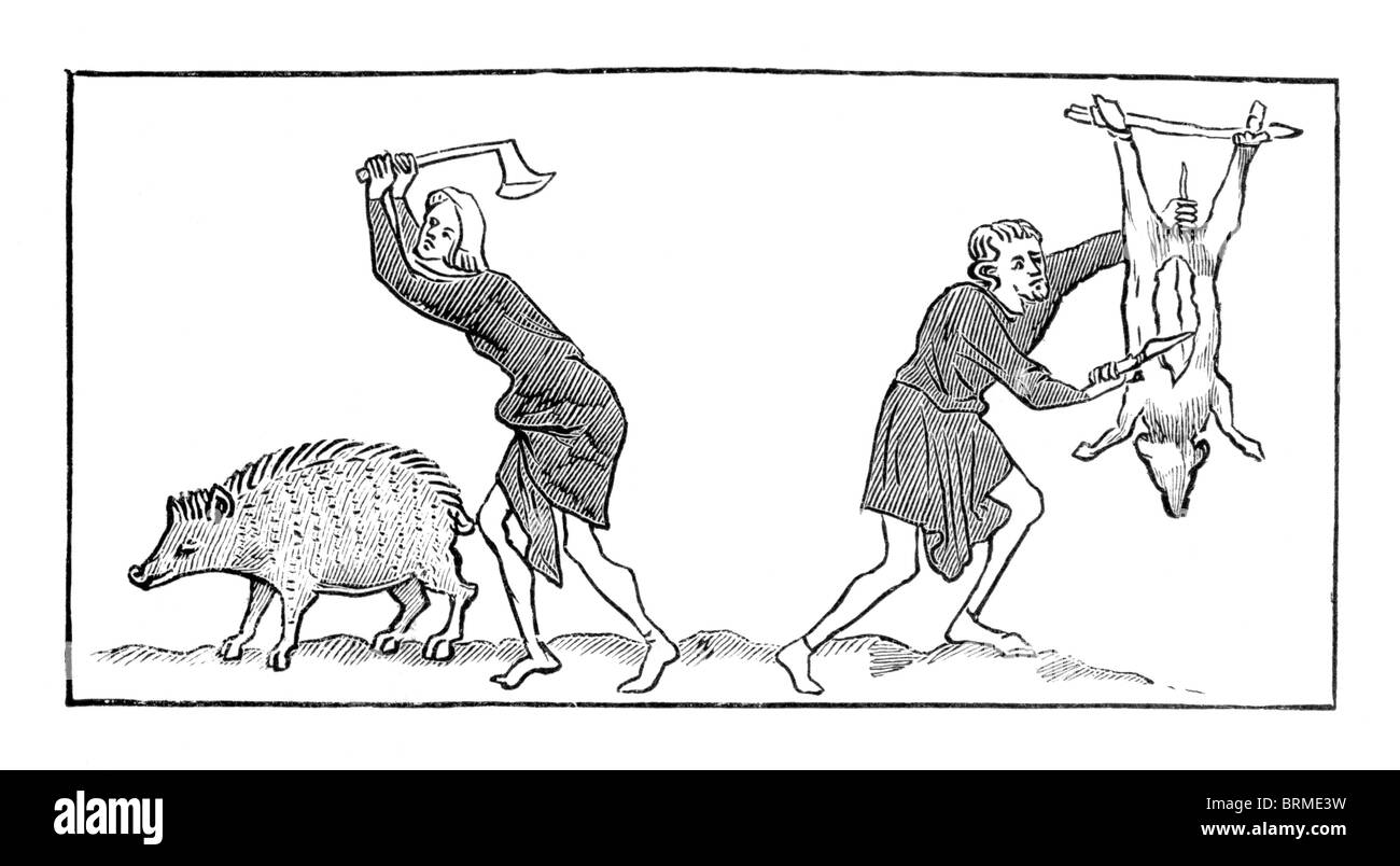 B&W Illustration tirée du psautier de la reine Mary (Mme Roy 2 B vii) Début du 14ème siècle ; décembre ; les hommes et tuer les porcs de boucherie Banque D'Images
