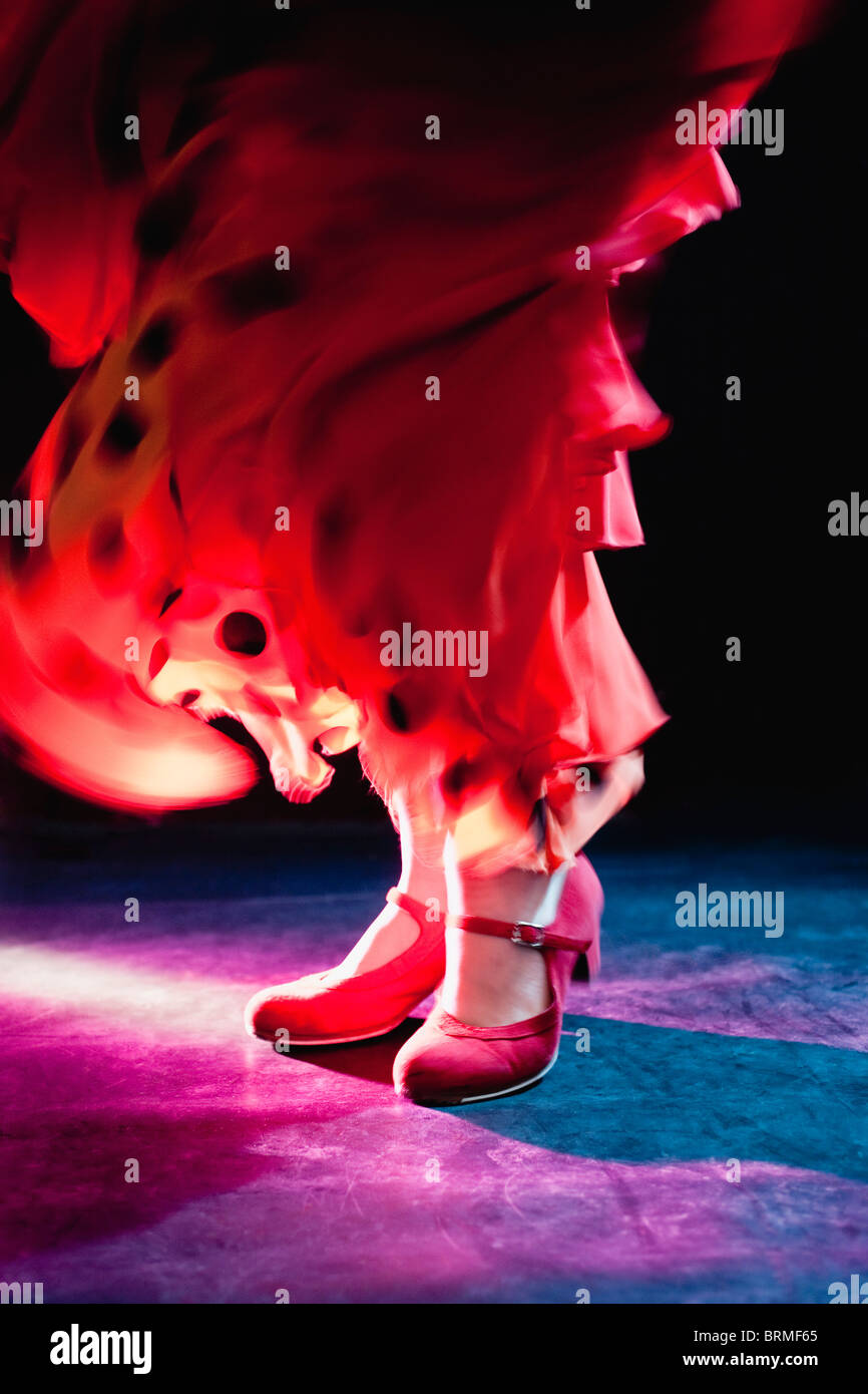 Pieds de flamenco Banque D'Images