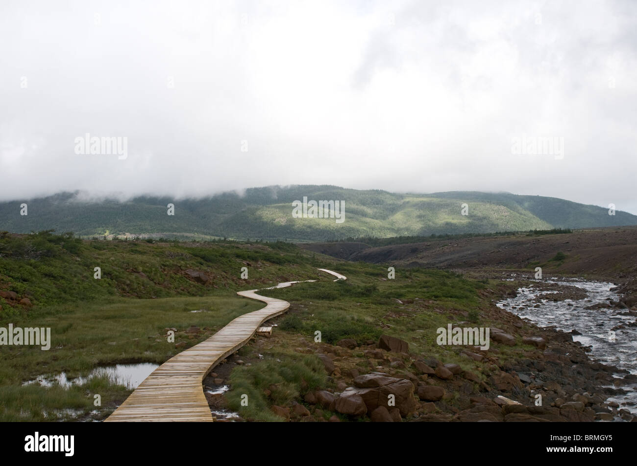 Tablelands Boardwalk Trail avec du brouillard, nuages, pluie et soleil Banque D'Images