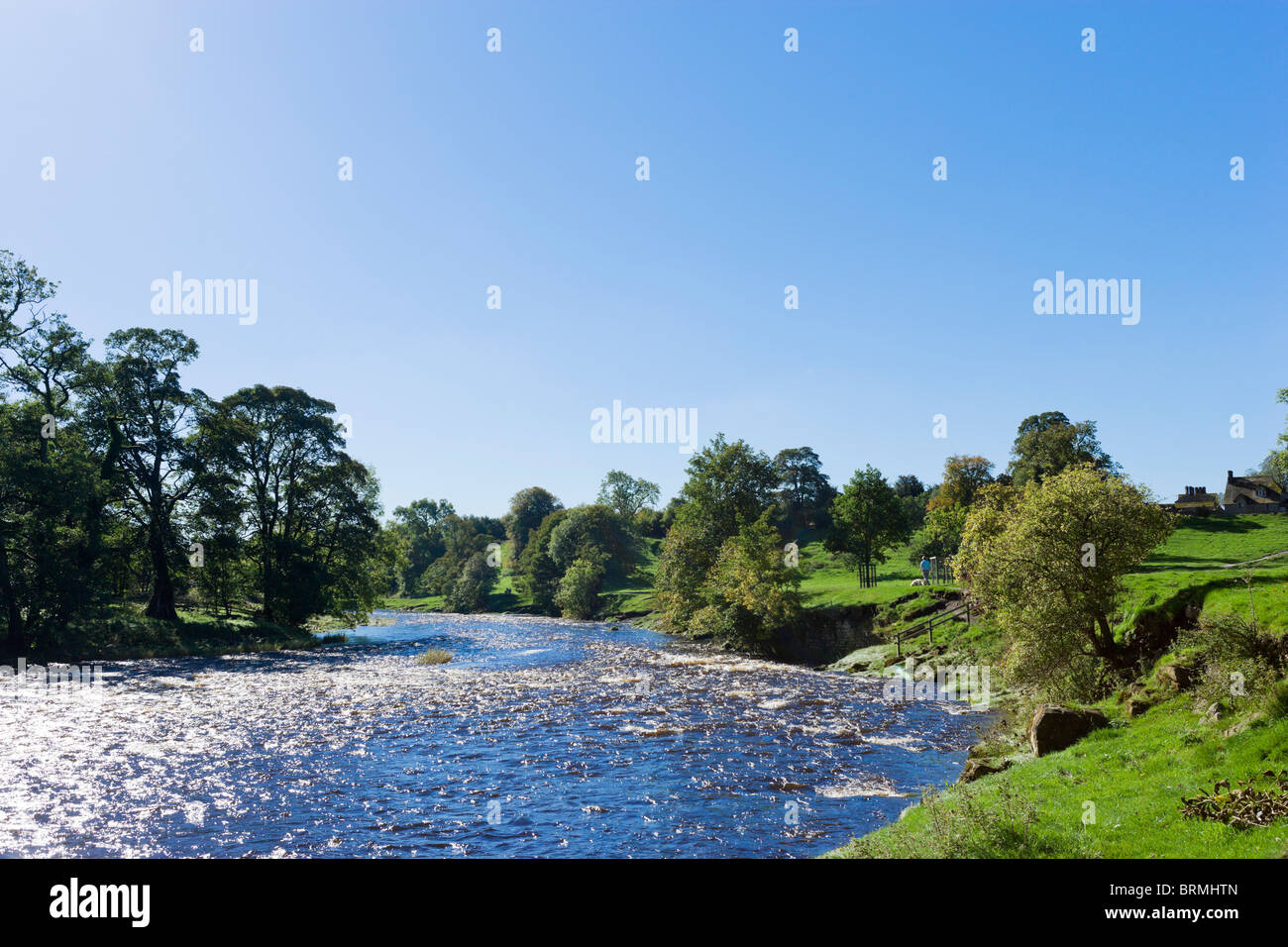 River Wharfe Prieuré près de Bolton, Bolton Abbey, Wharfedale, Yorkshire Dales, North Yorkshire, England, UK Banque D'Images