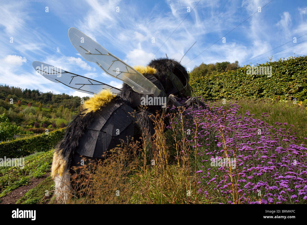 Sculpture d'une guêpe géante dans les jardins de l'Eden Project. Banque D'Images