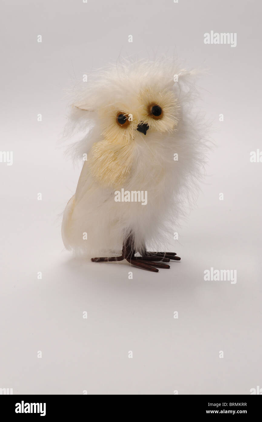 Hibou Blanc Banque D'Images