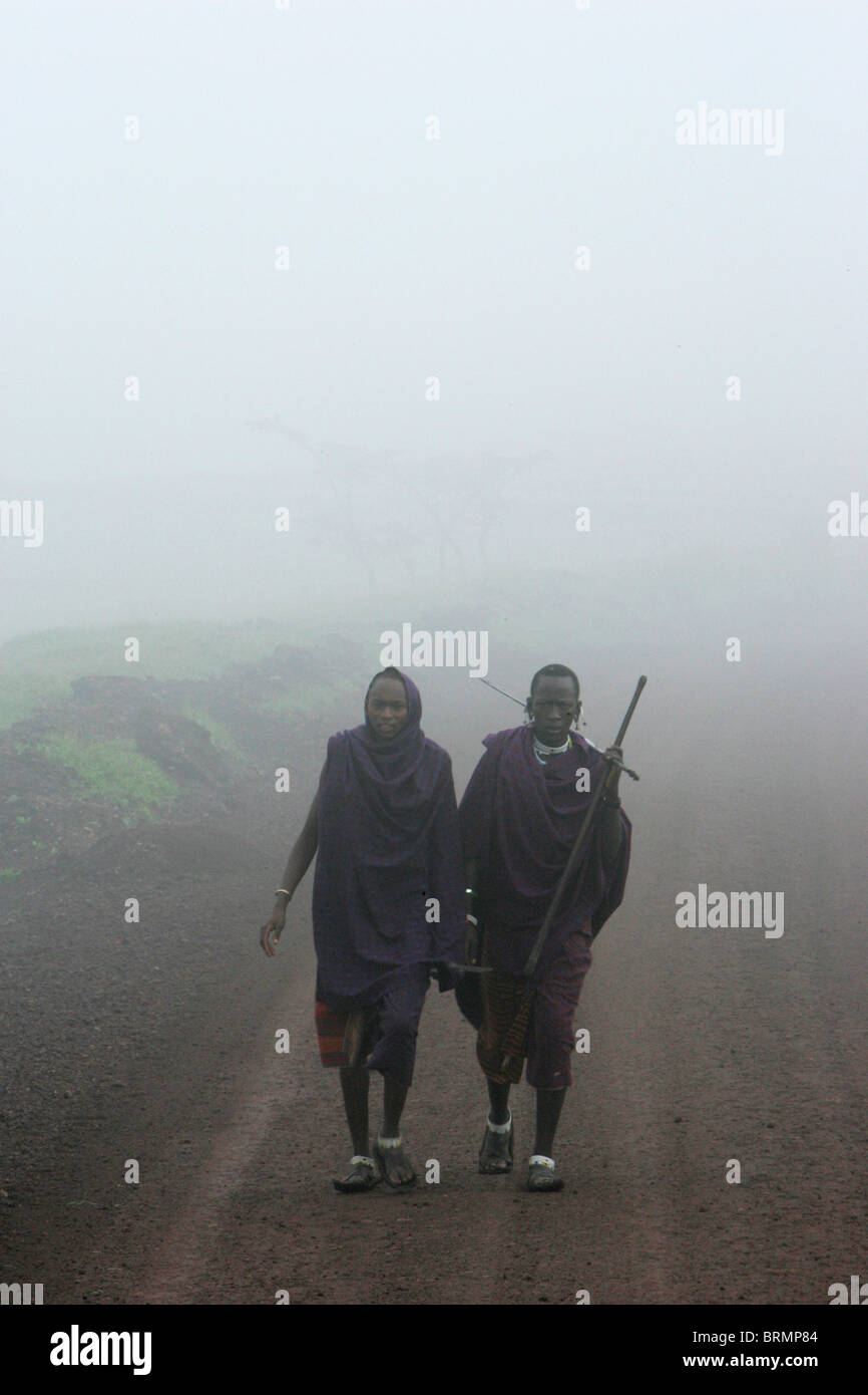 Les guerriers massaïs marchant ensemble dans la brume matinale Banque D'Images