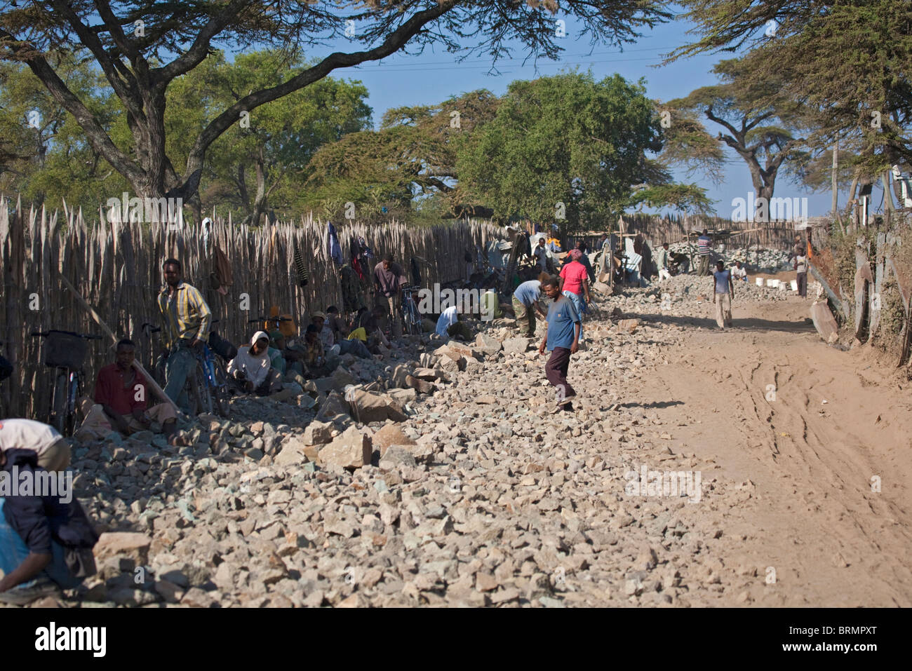 Tailleurs de pierre cailloux galets rendant sur le côté d'une route d'Awassa Banque D'Images