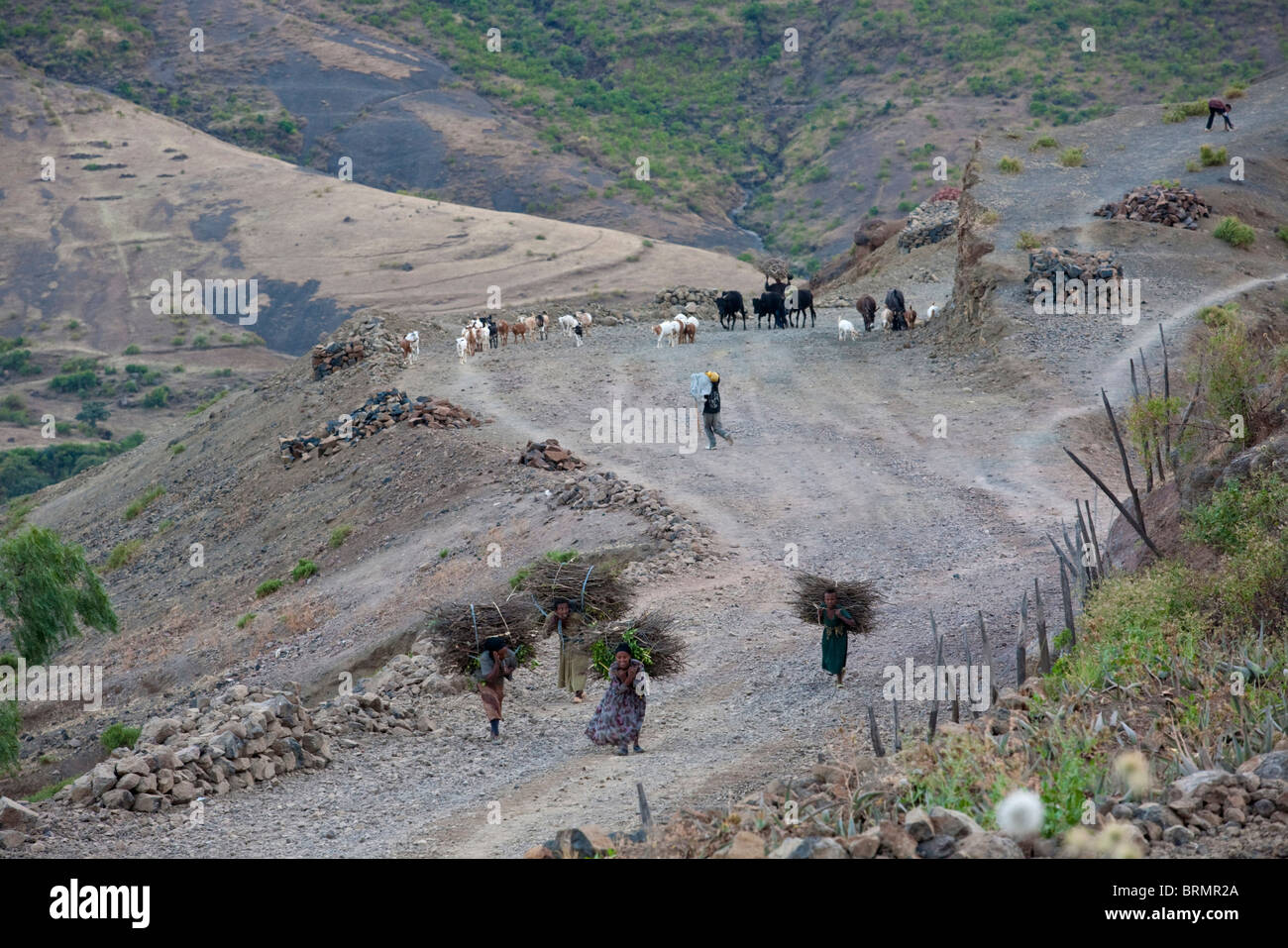 Vue aérienne d'une des femmes portant des paquets de bois et de l'élevage jusqu'à la route de village de Lalibela Banque D'Images