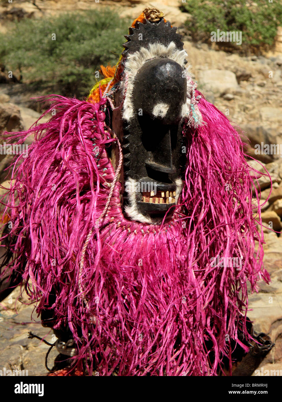 Portrait d'un danseur Dogon portant un masque en bois sculpté de couleur vive et une coiffe rose effectuant une danse de cérémonie Banque D'Images