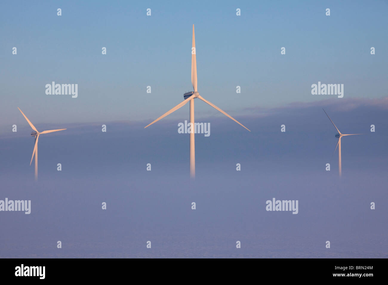 Le brouillard autour des éoliennes, Frise du Nord, Schleswig-Holstein, Allemagne. Banque D'Images