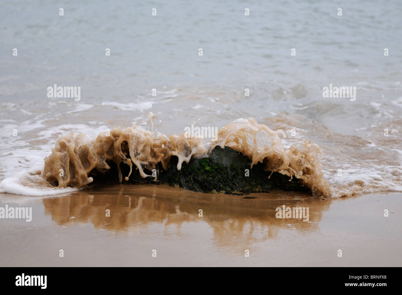 Stock photo d'une vague roulant sur une pierre sur une plage. Banque D'Images