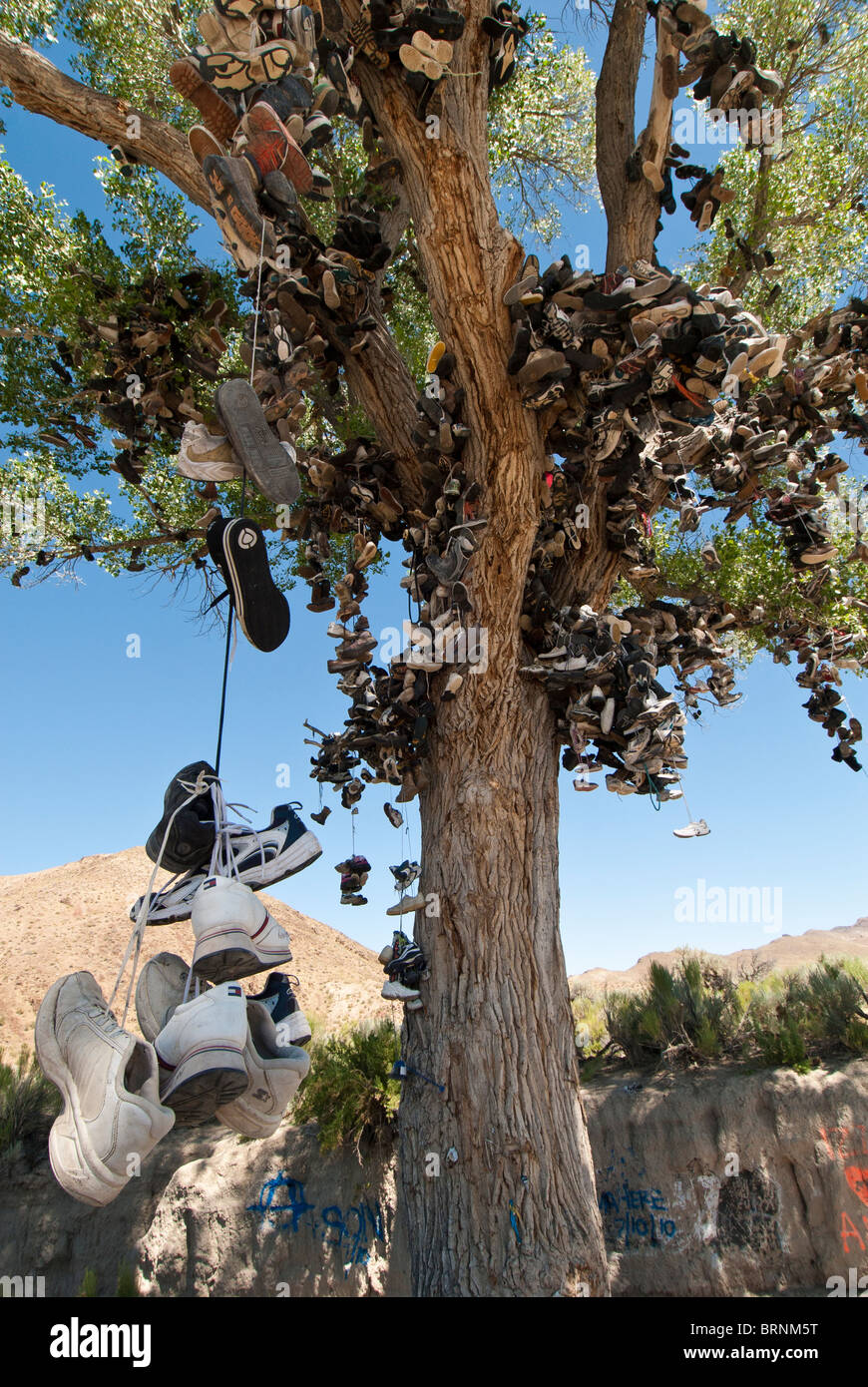 Chaussure Route arbre, Churchill Comté miilepost 70, U.S. Route 50, Lonliest Road en Amérique, Middlegate, Nevada. Banque D'Images