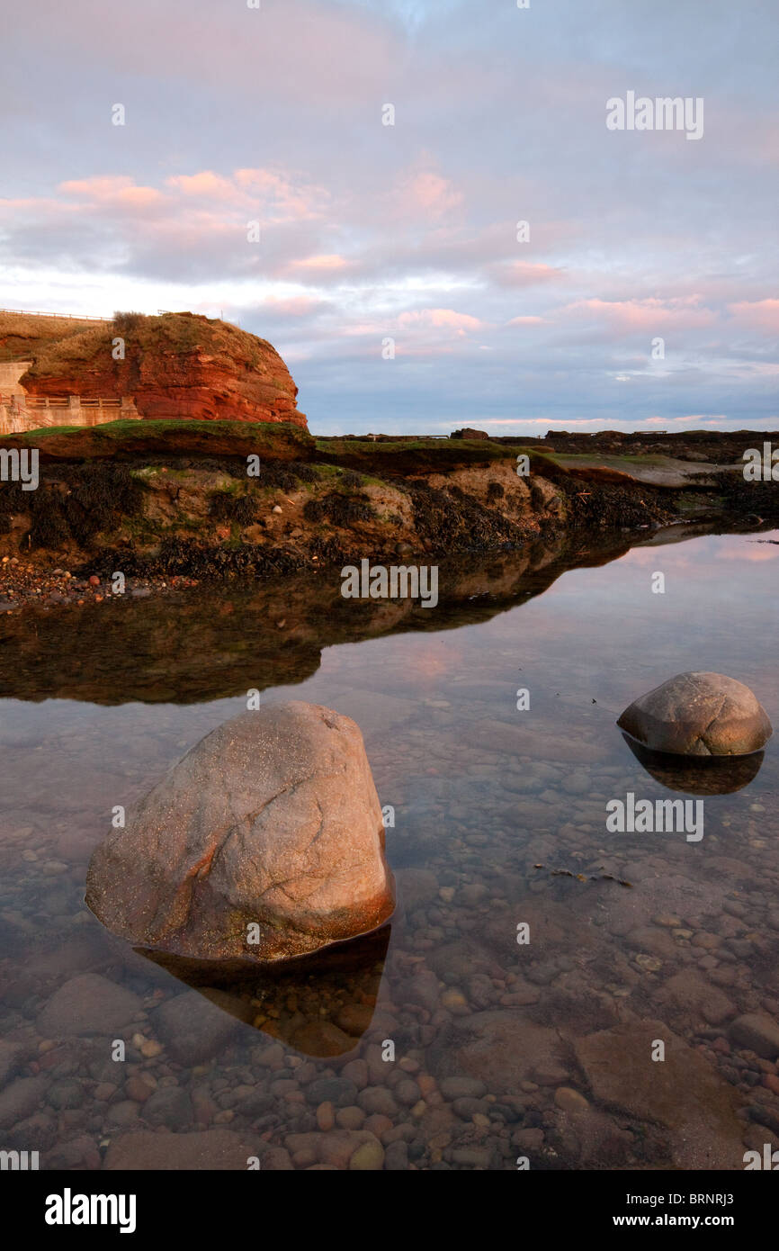 Falaises Seaton, Arbroath Banque D'Images