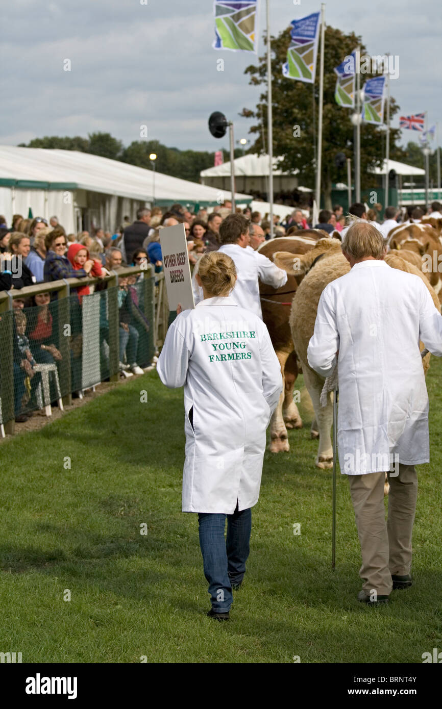 Prendre avec humour sur le défilé d'animaux lors d'une foire agricole Banque D'Images