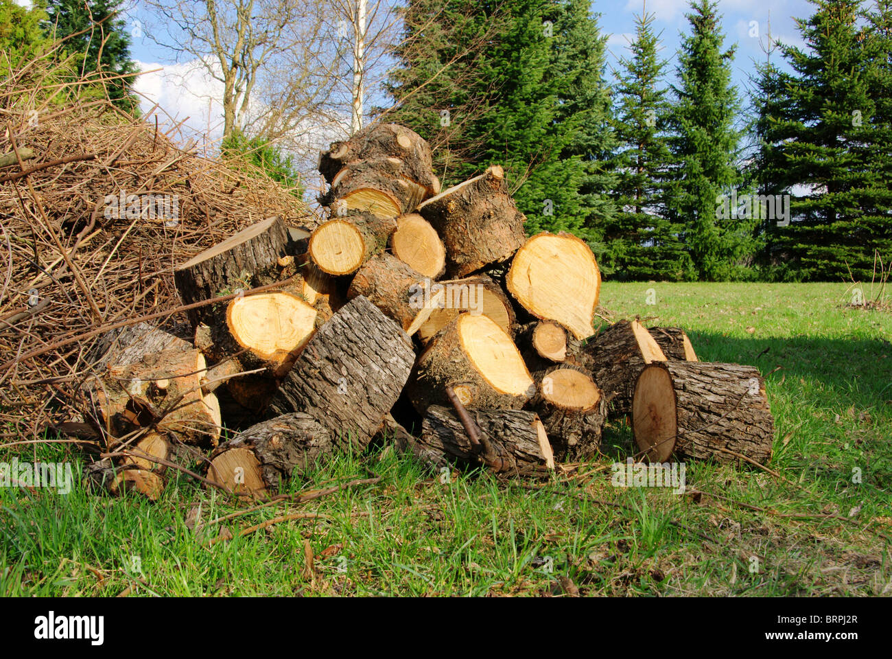 Holzstapel - pile de bois 30 Banque D'Images