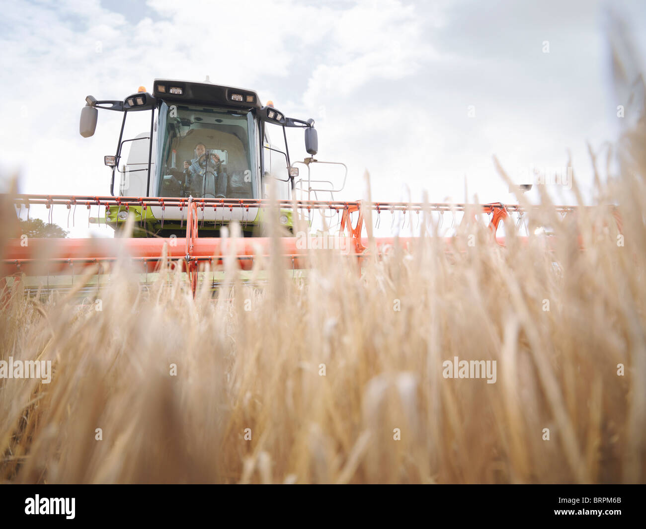 Farmer driving combine harvester Banque D'Images