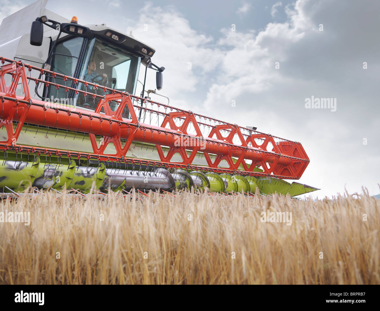 Farmer driving combine harvester Banque D'Images