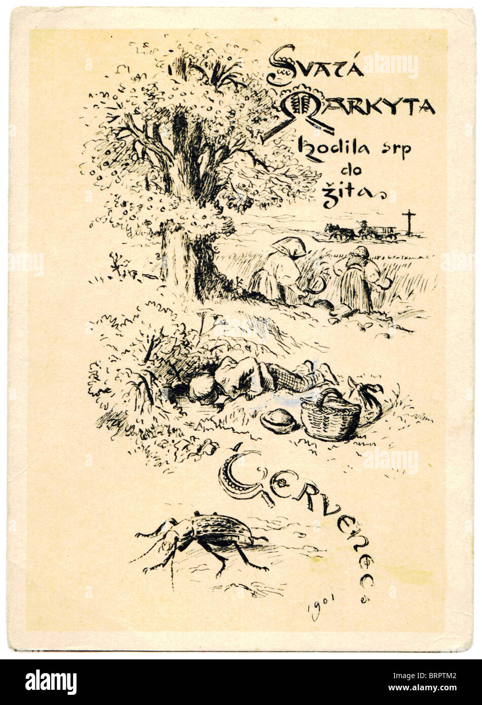 Un garçon boit de l'eau d'une source, le paysan maïs récolte au premier plan en rampant bug Banque D'Images