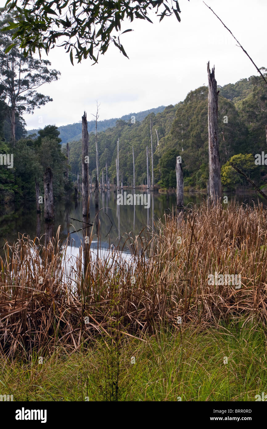 Images paysage marin par Craig Bourke Banque D'Images