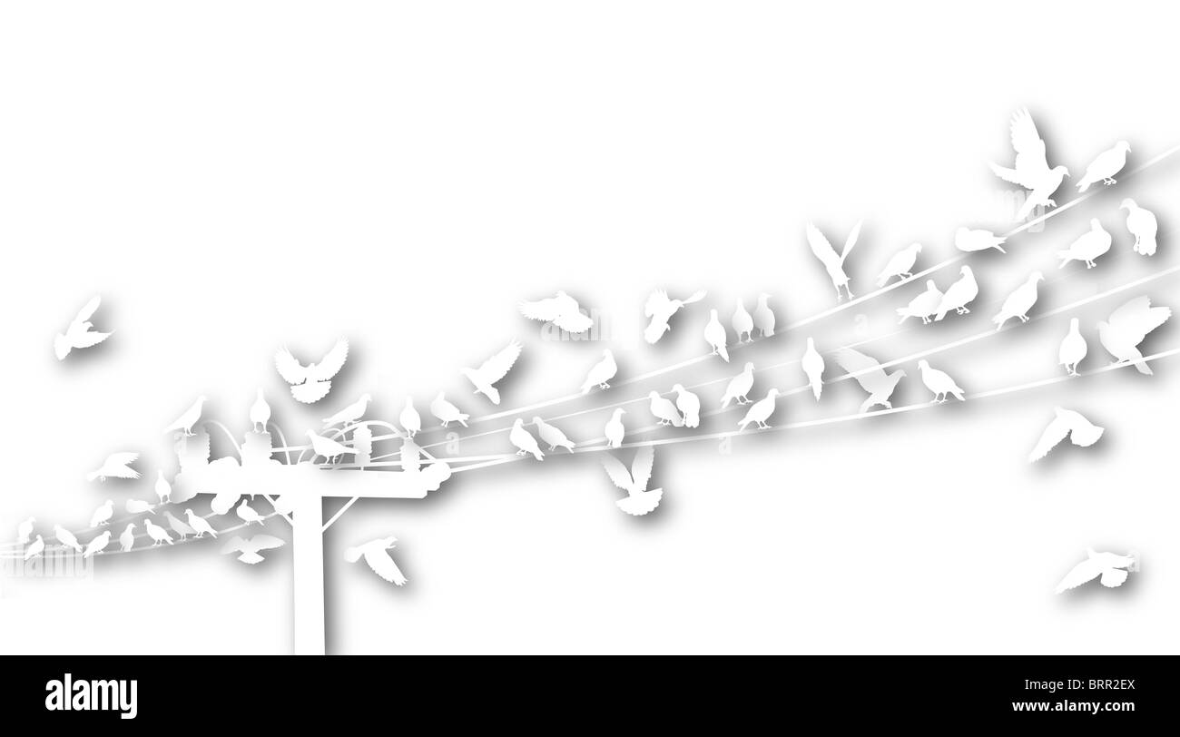 Découpe des silhouettes d'oiseaux blancs se percher sur les fils télégraphiques Banque D'Images