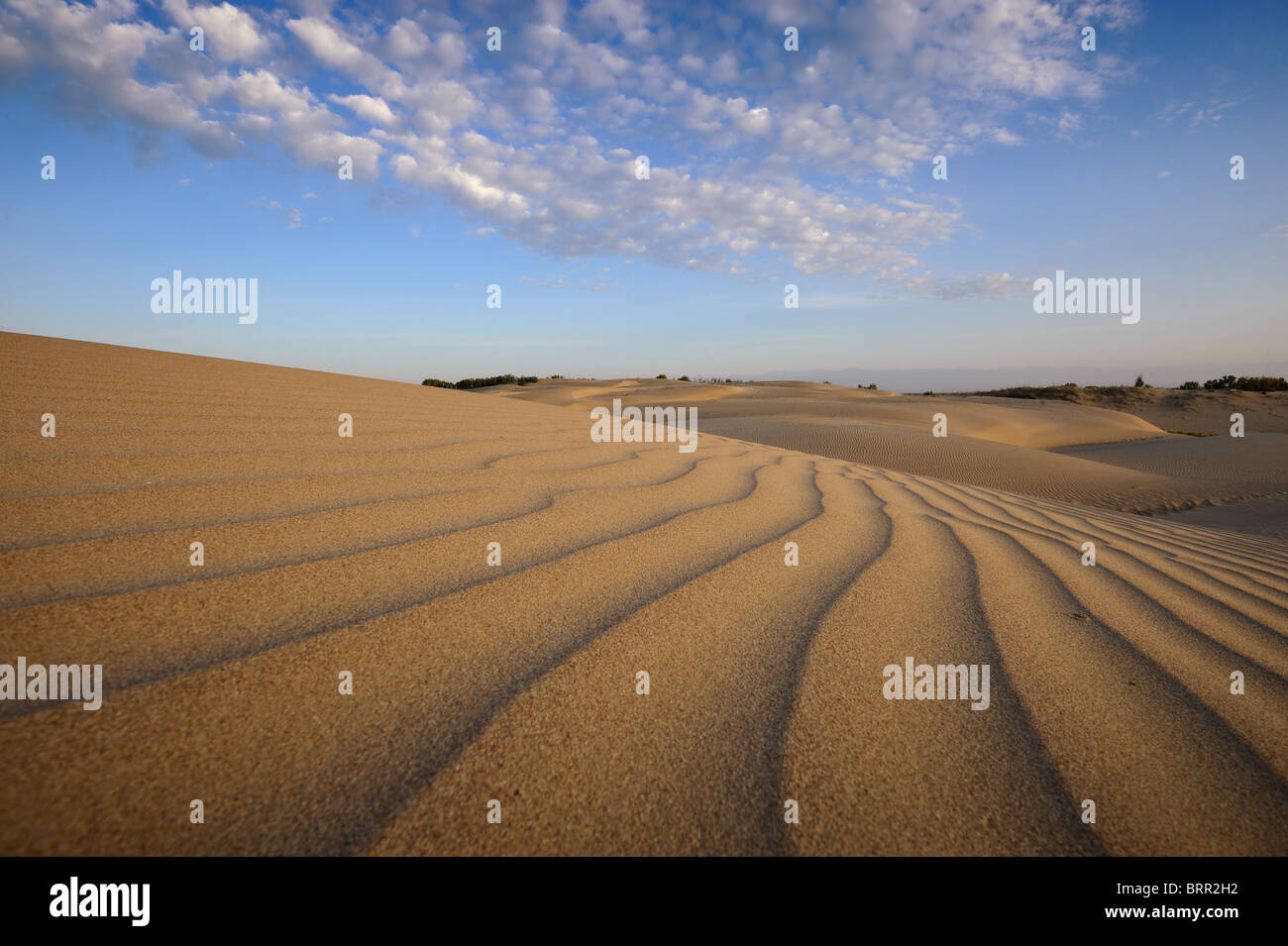 Dunes de sable dans le sud du Kazakhstan Banque D'Images