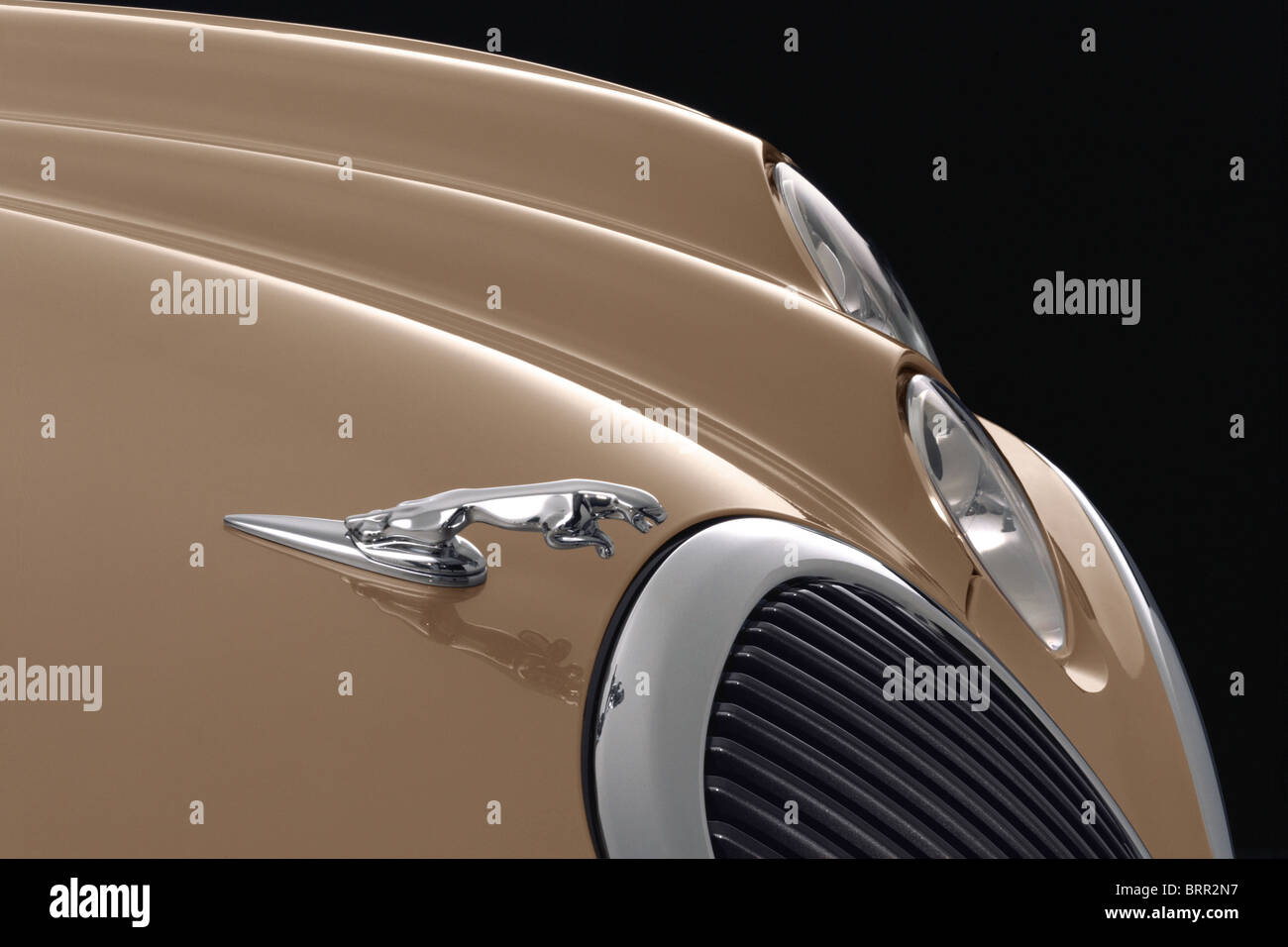 Jaguar S-type/grill et 'leaping jaguar' Mascot Banque D'Images