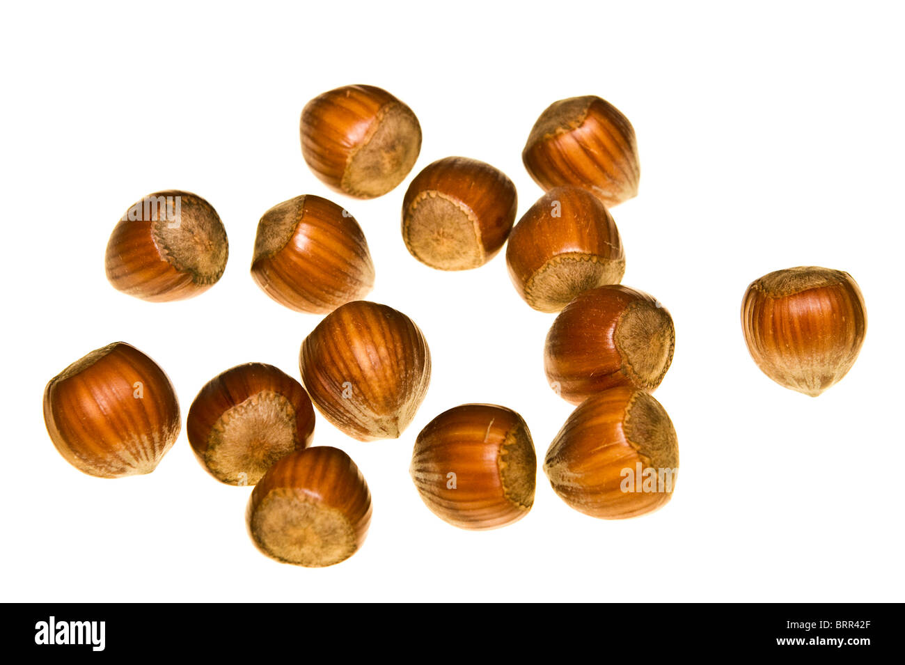 Studio shot de noisettes Banque D'Images
