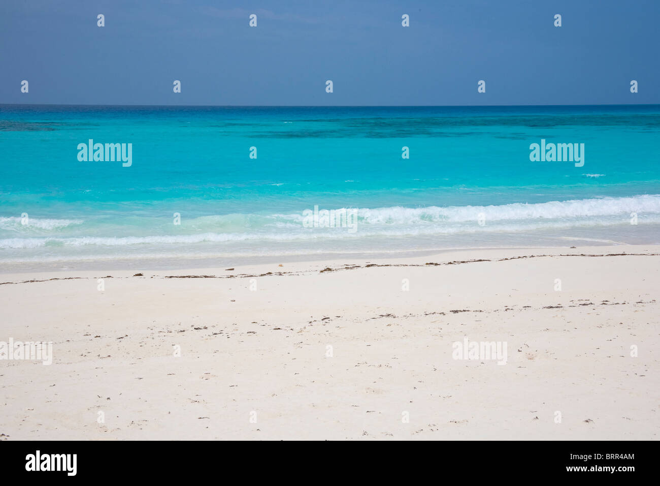 Scène de plage de l'île tropicale Banque D'Images