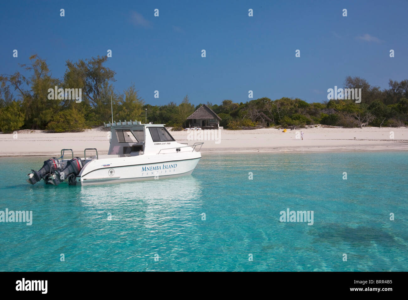 Bateau à moteur Îles Mnemba amarré dans les eaux peu profondes au large de l'île Banque D'Images Bateau à moteur Îles Mnemba amarré dans les eaux peu profondes au large de l'île Banque D'Images