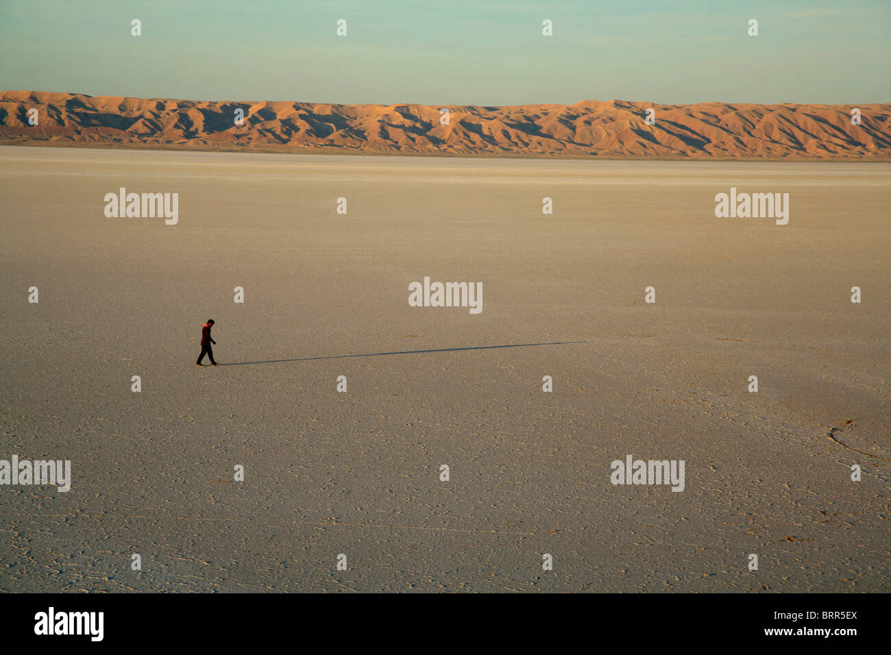 Un homme marche sur le lac salé de Chott el-Jerrid dans le sud de la Tunisie Banque D'Images