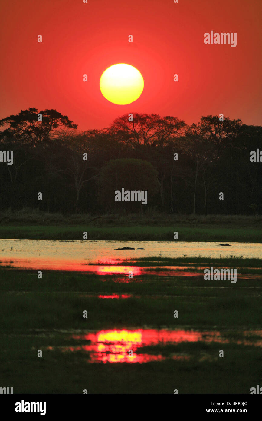Coucher de soleil sur la rivière Kafue avec ciel rouge intense Banque D'Images