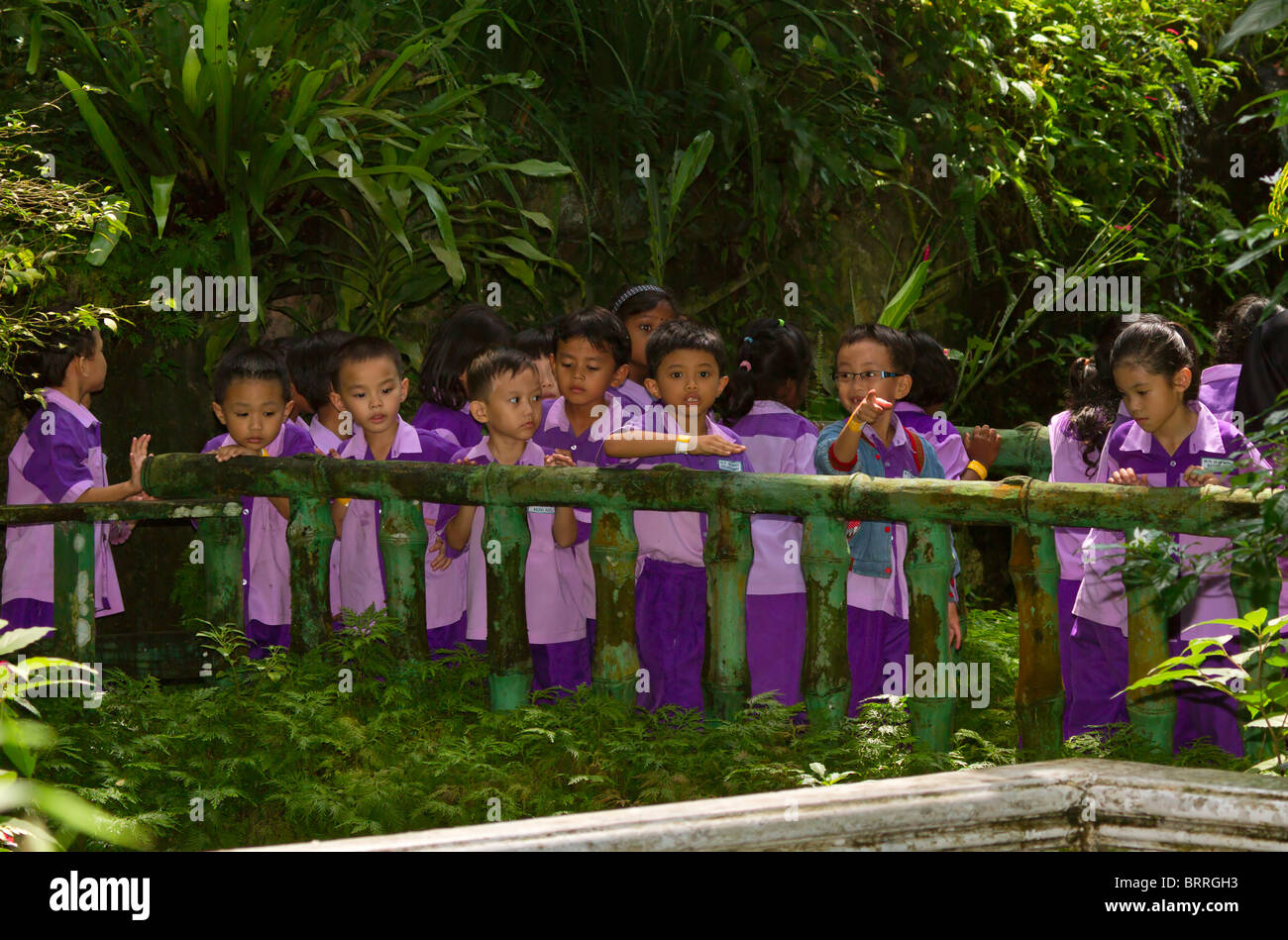 Malaysian écoliers en uniforme sur une sortie au Butterfly Park Kuala Lumpur. Les enfants montrent une gamme de types ethniques Banque D'Images