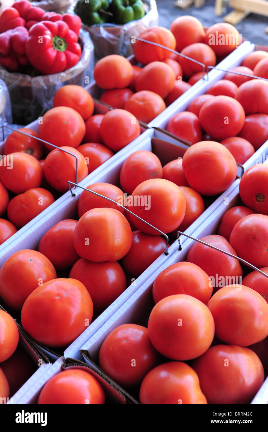 Les tomates dans des paniers de produits frais ferme stand Naples New York NY Finger Lakes Banque D'Images