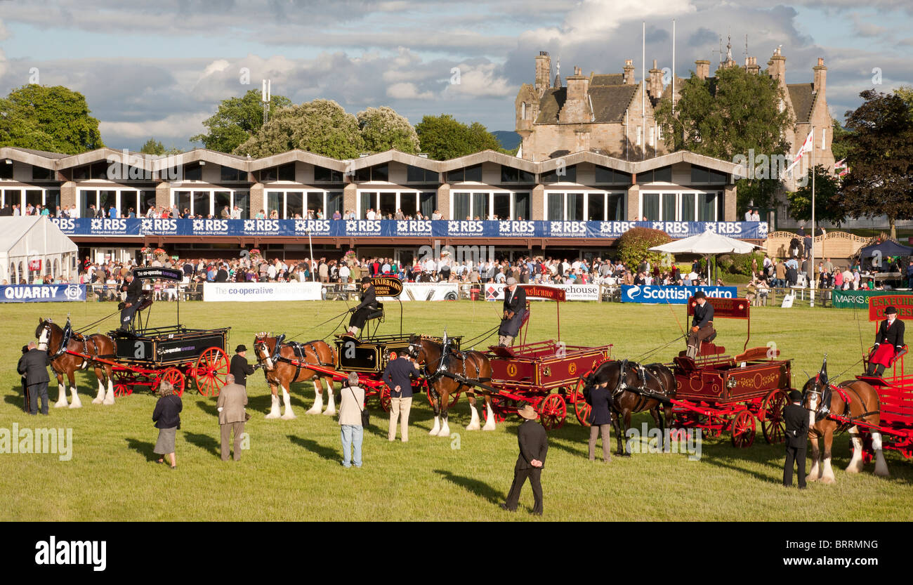 Commerce de chevaux lourds de la classe de participation dans le ring au Royal Highland Show Banque D'Images