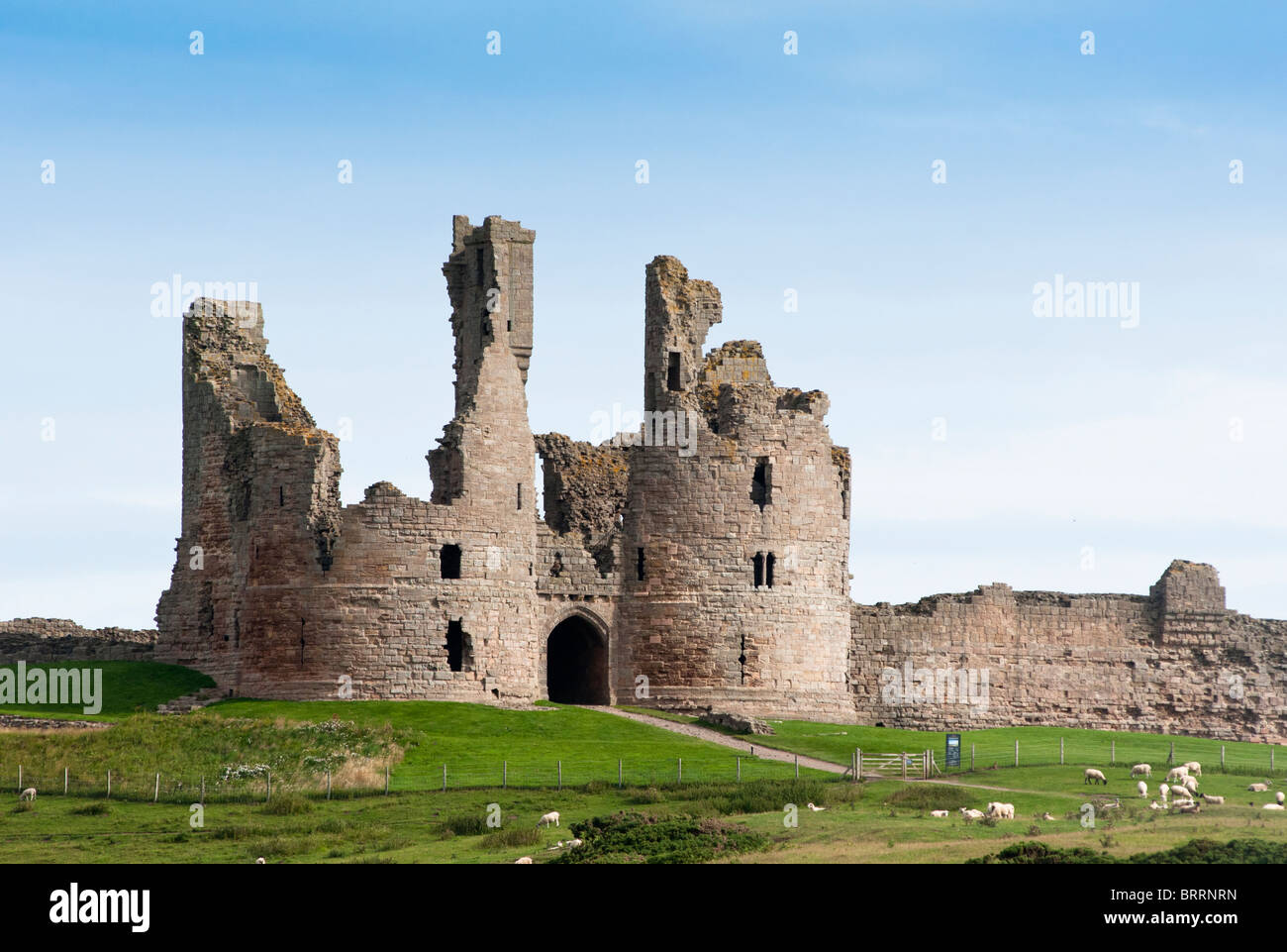 Ruines du château de Dunstanburgh, côte nord-est de l'Angleterre Banque D'Images