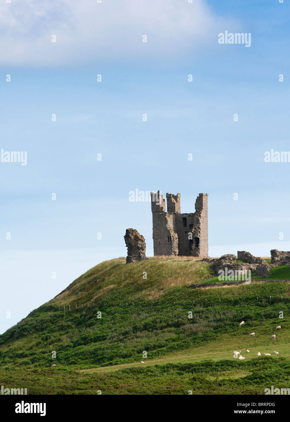 Ruines du château de Dunstanburgh perché sur une colline sur la côte nord-est de l'Angleterre. Banque D'Images