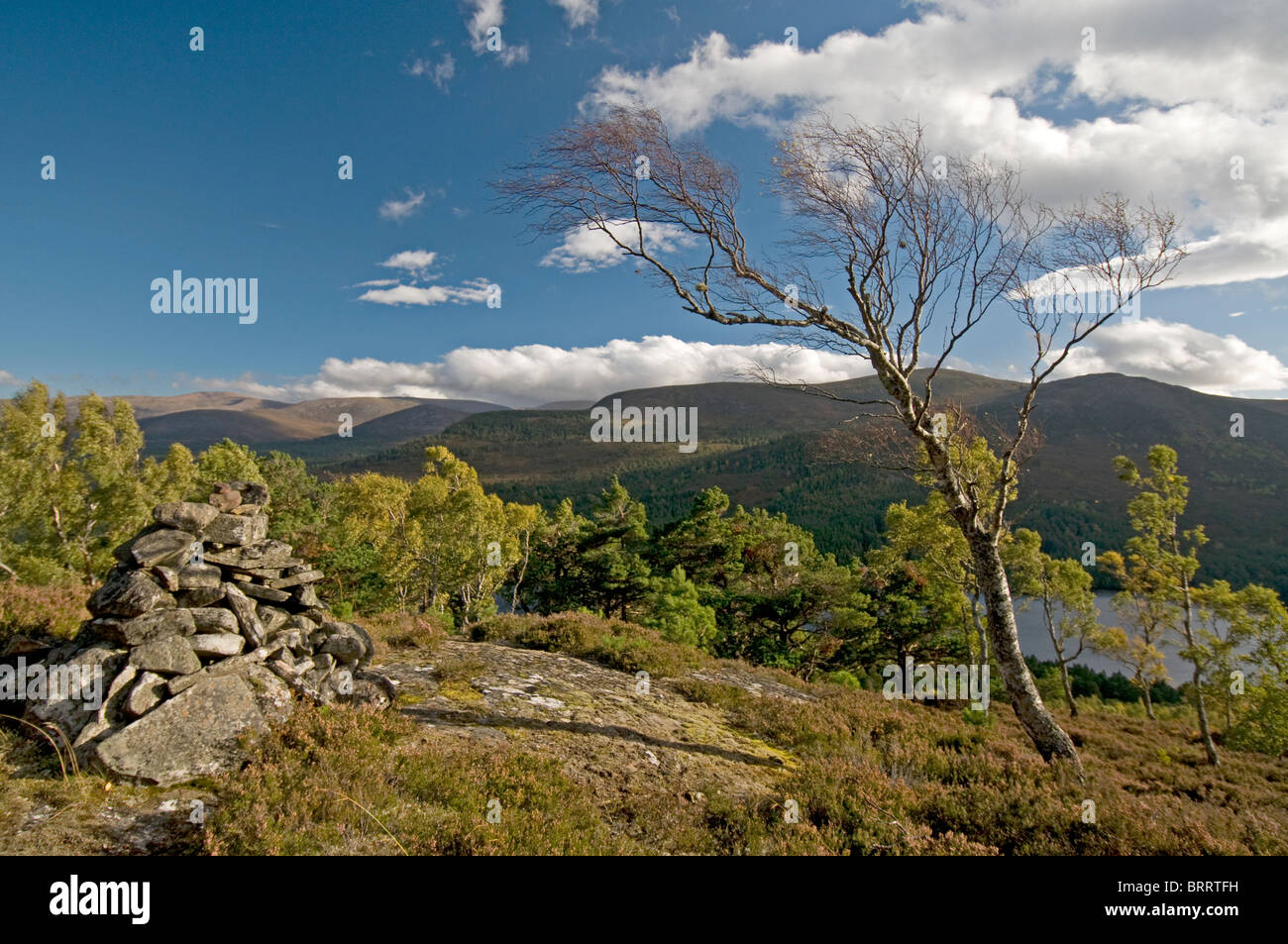 Les montagnes de Cairngorm de Ord Ban hill, Rothiemurchus, Aviemore, région des Highlands, en Écosse. 6820 SCO Banque D'Images